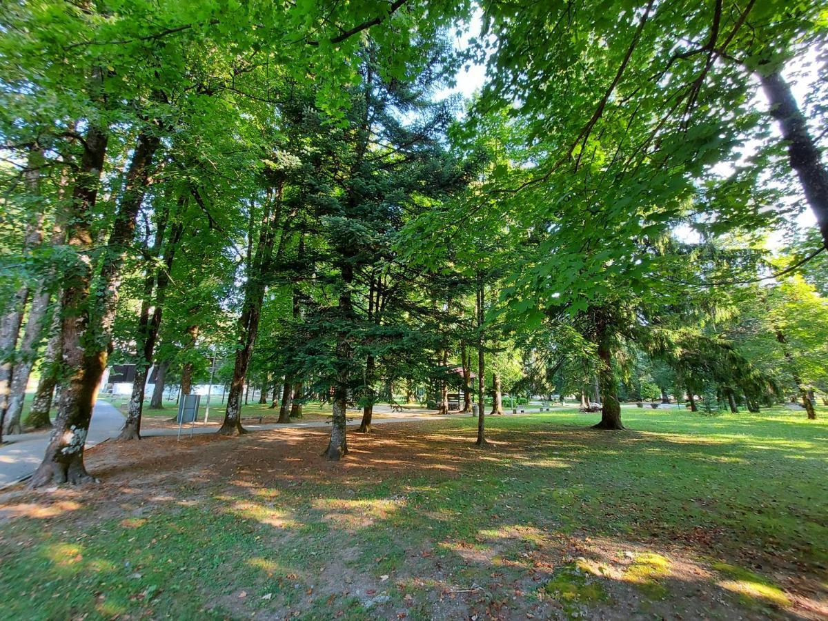 Apartman Tince Delnice Buitenkant foto