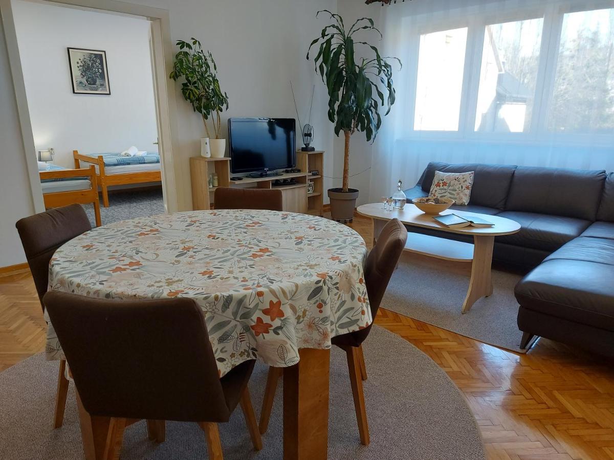 Apartman Tince Delnice Buitenkant foto