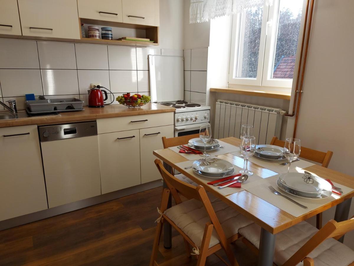 Apartman Tince Delnice Buitenkant foto