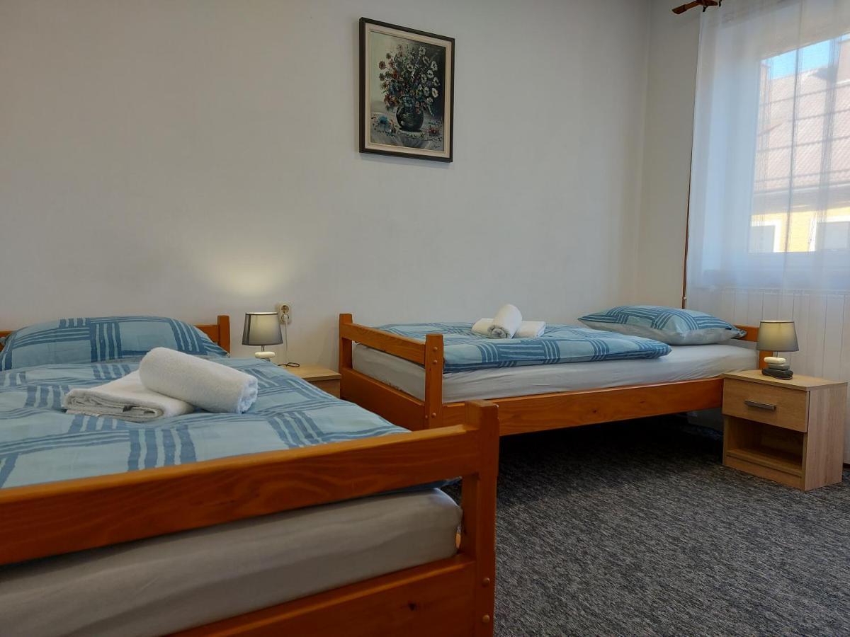 Apartman Tince Delnice Buitenkant foto