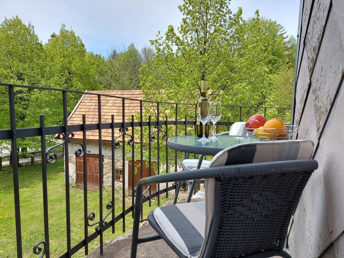 Apartman Tince Delnice Buitenkant foto
